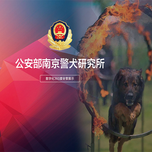 公安部南京警犬研究所VR全景拍摄